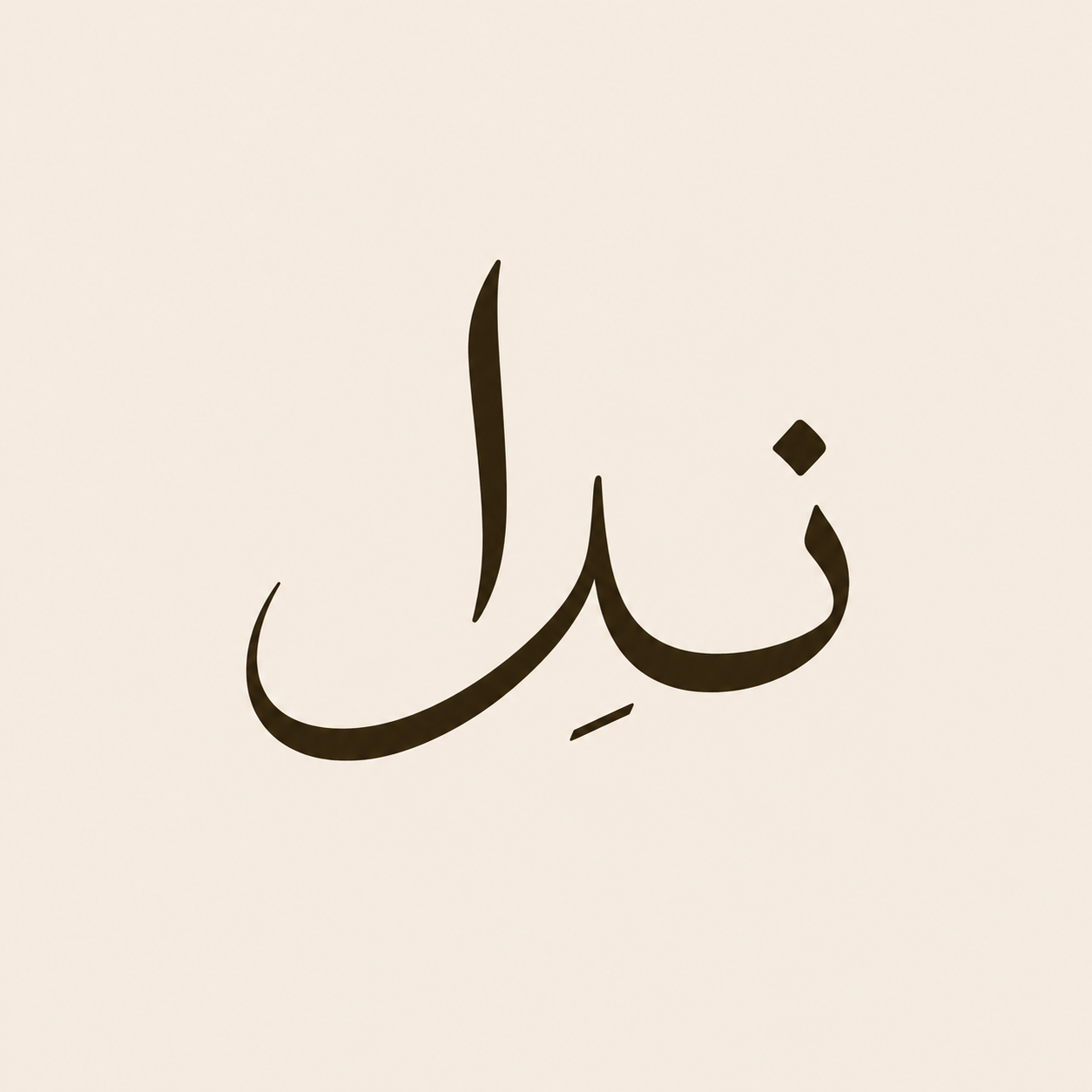 Nida Essentials Co.